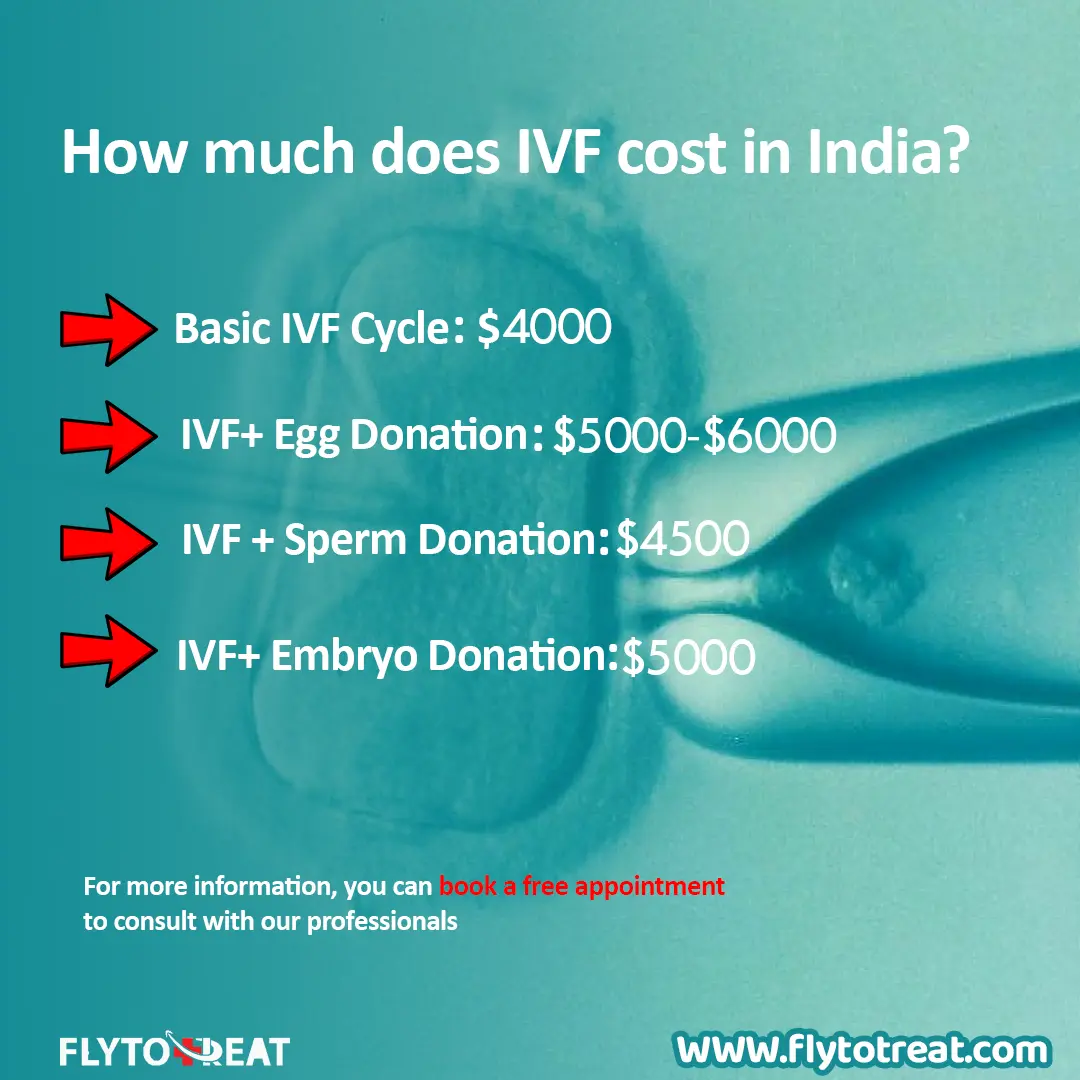 How much does IVF cost in India