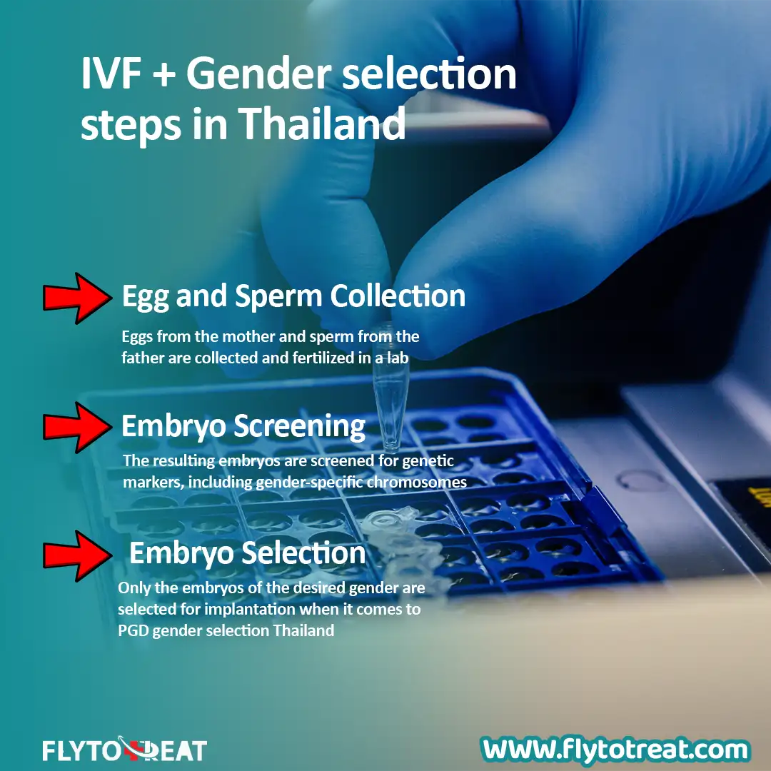 PGD process in Thailand