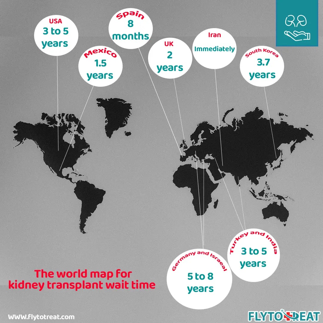 the world map for kidney transplant wait time